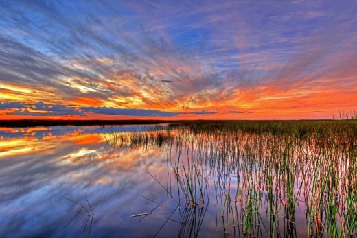 Sunset over everglades national park-artist-G Gardner-goparks.tumblr.com-post-113433440776-a-sunset-blazing-over-everglades-national-park-in.jpg