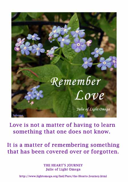 Remember_Love_Heart's_Journey_Julie_LightOmega_photo_JohannaRaphael.jpg