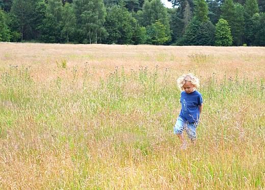 boy in field-What you do matters all of the time-Day 83 Meditations On Love Relationships-lightomega.org.jpg