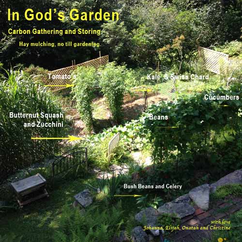 In-God's-Garden-Carbon-Storing-Carbon-Balancing.jpg
