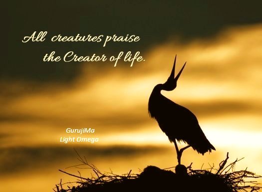 All creatures praise Creator - GURUJIMA-3-2020.jpg