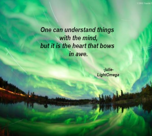One can undertand things-525x467.jpg