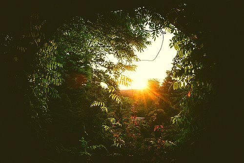 by Chris Zielecki -flickr.com-photos-zanthia-9479854384-License-creativecommons.org-licenses-by-nc-sa-2.0.jpg