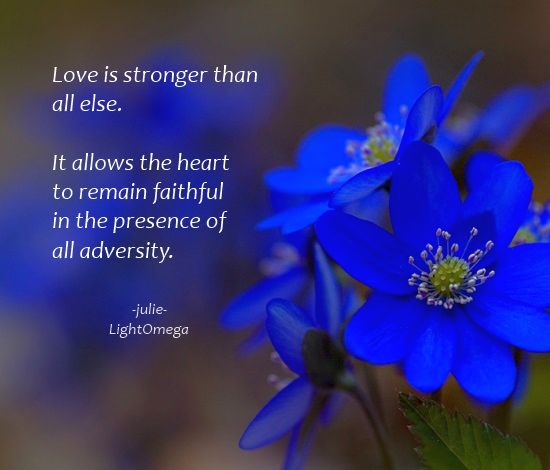 Love is stronger than2-550x470.jpg