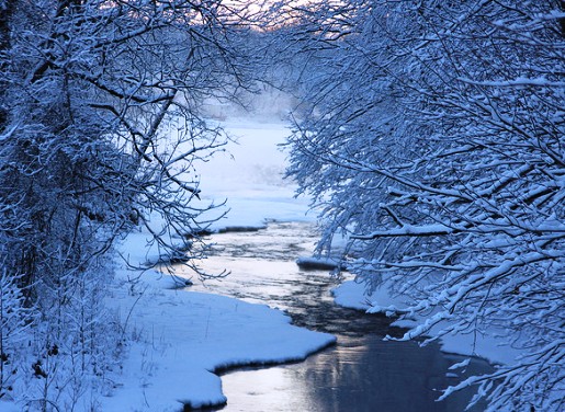 Frost-Trees-iceRiver-flickr-photos-emmett_hume-3254953118.jpg