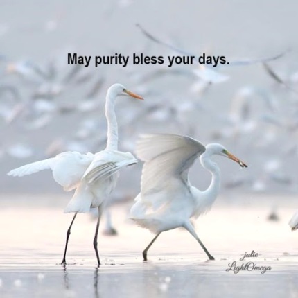 May purity bless-525x525.jpg